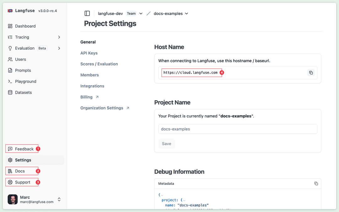 UI Customization (self-hosted) - Langfuse