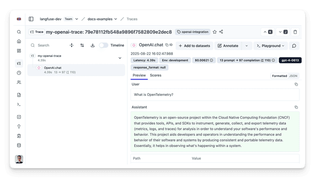 Langfuse JS/TS SDK - Langfuse