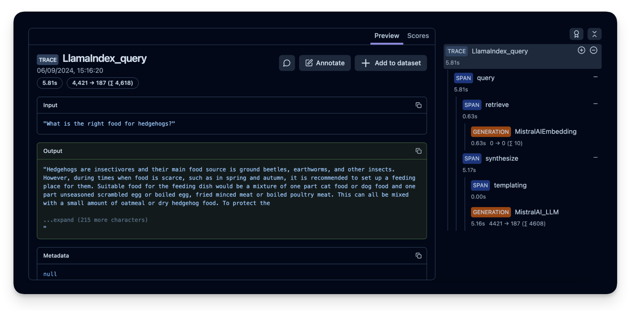 Example trace in the Langfuse UI