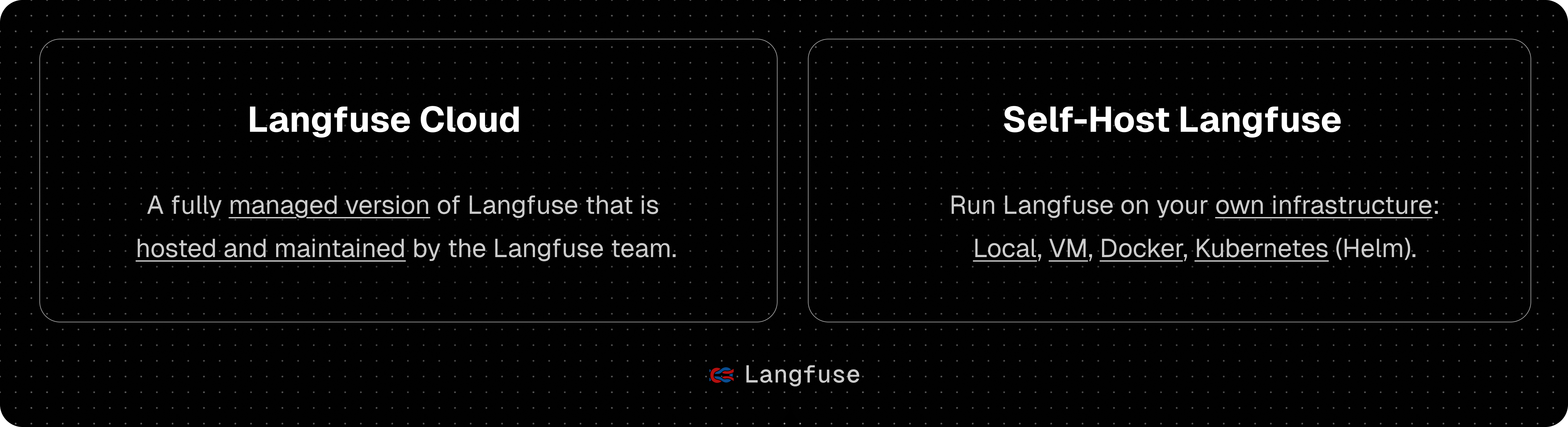 Langfuse 部署选项